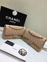 Chanel Caviar Leather Flap Bag Beige with Gold/Silver Hardware 25cm - 2