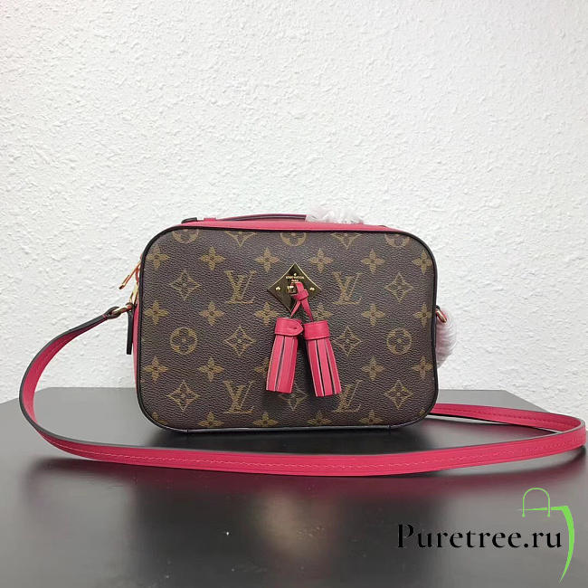  louis vuitton monogram CohotBag  saintonge freesia m43557 - 1