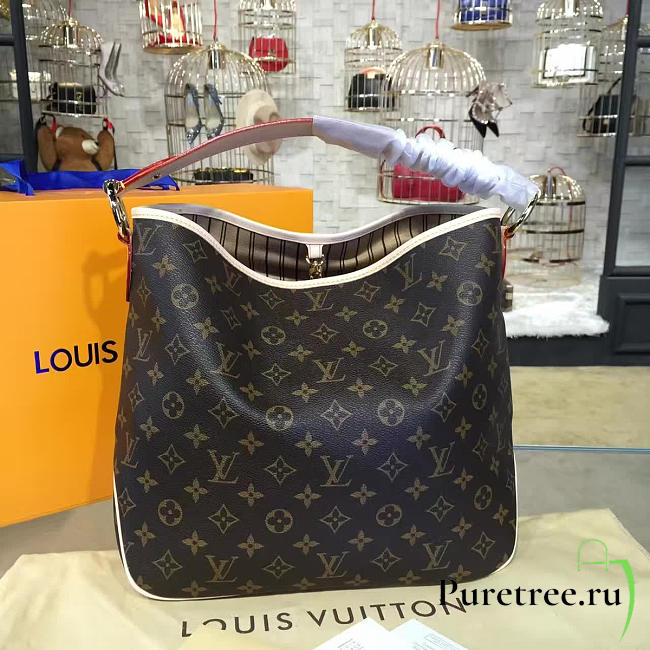 CohotBag louis vuitton delightfu monogram - 1