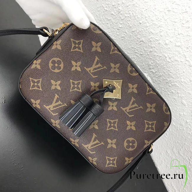  louis vuitton monogram CohotBag  saintonge black m43555 - 1