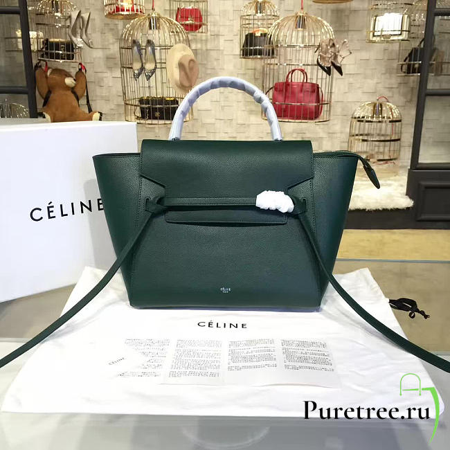 Celine leather belt bag z1196 - 1