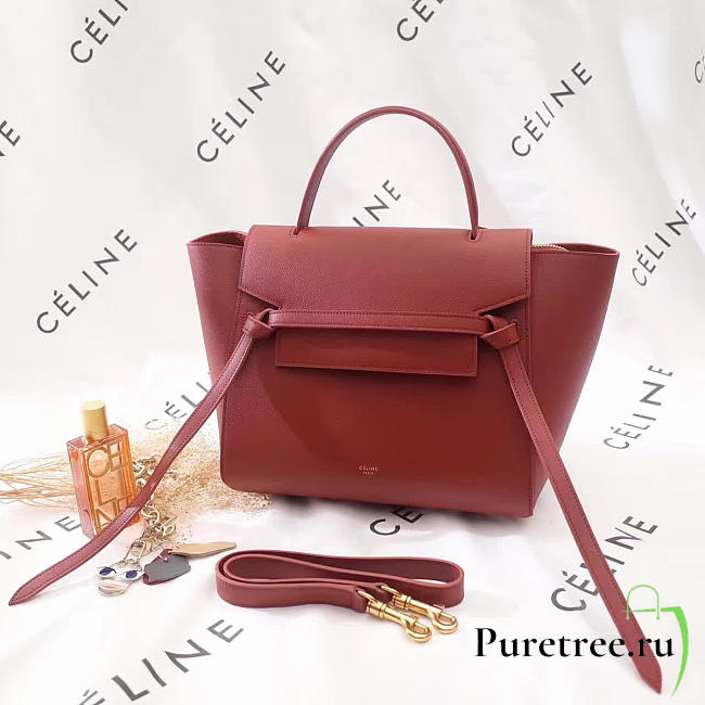 Celine leather belt bag z1188 - 1