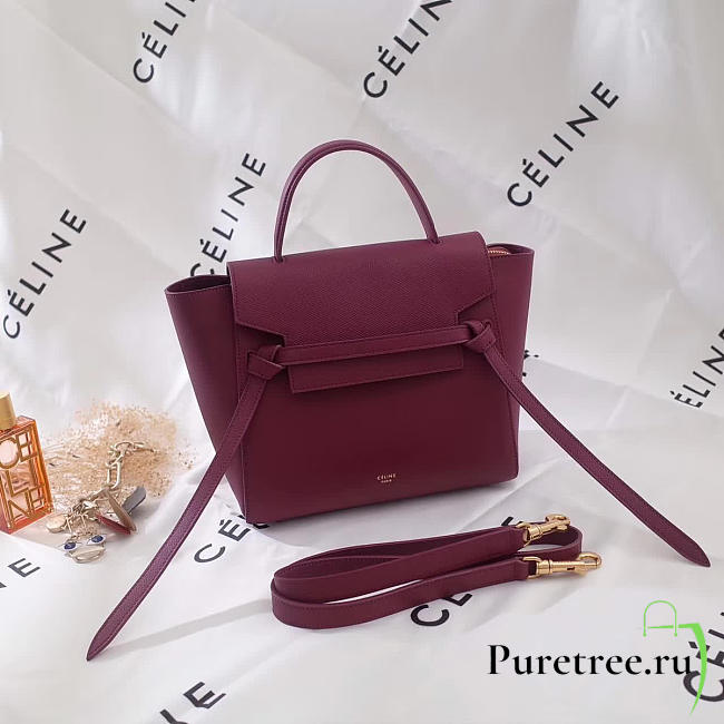 Celine leather belt bag z1177 - 1