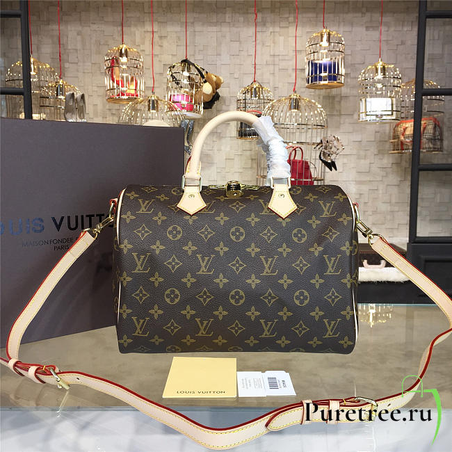 louis vuitton speedy CohotBag  bandoulière 30 3113 - 1