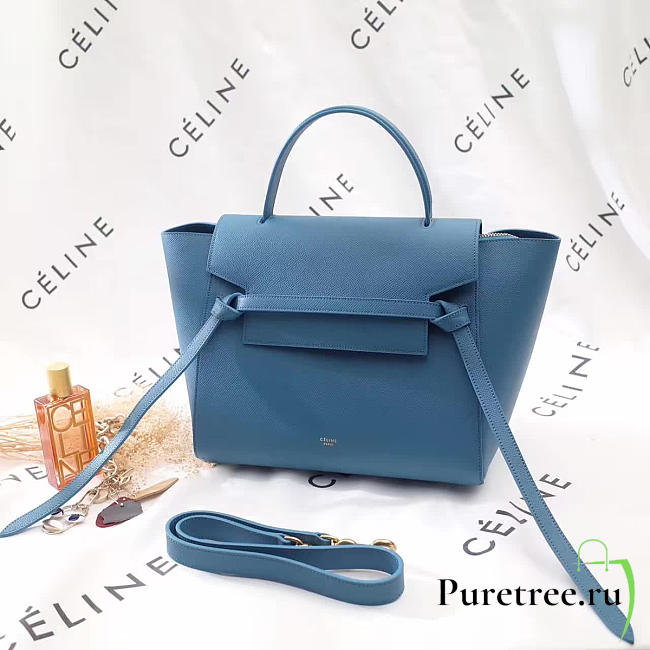 Celine leather belt bag z1199 - 1