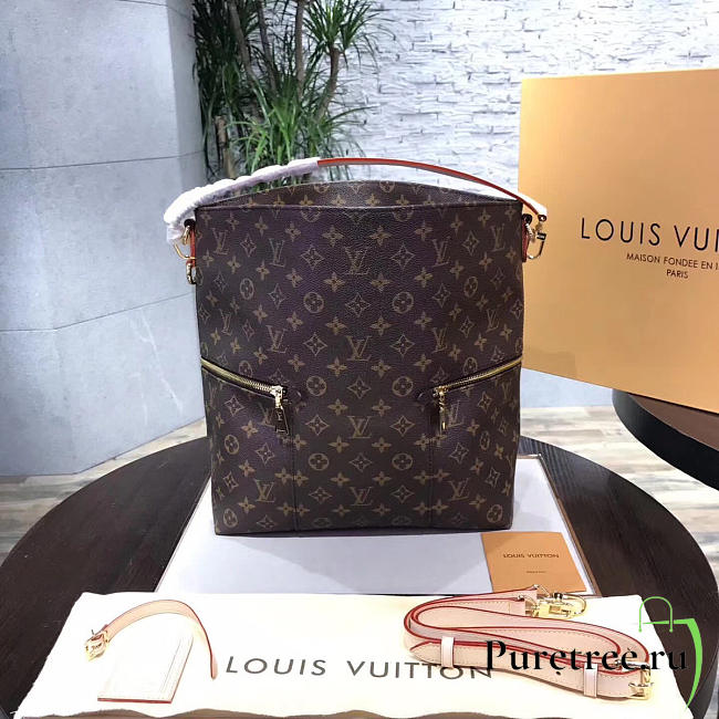   louis vuitton monogram CohotBag canvas melie - 1