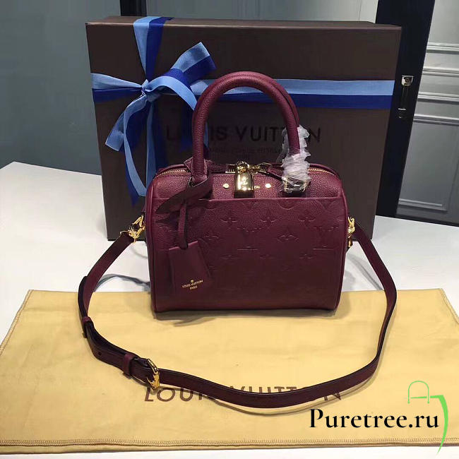 Louis Vuitton Speedy 20 Raisin | 3819 - 1