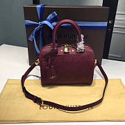 Louis Vuitton Speedy 20 Raisin | 3819 - 1