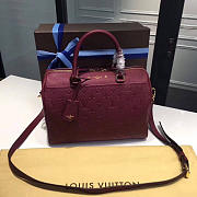 Louis Vuitton Speedy 20 Raisin | 3819 - 6