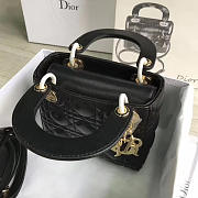 CohotBag lady dior mini - 2