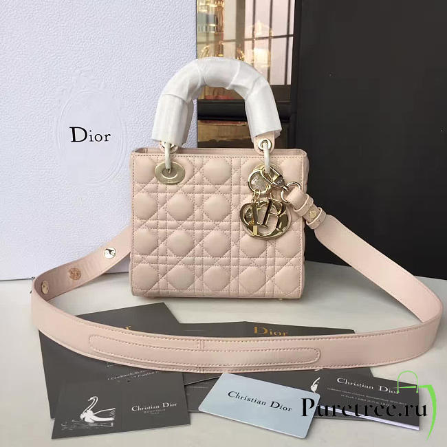 CohotBag lady dior 1624 - 1