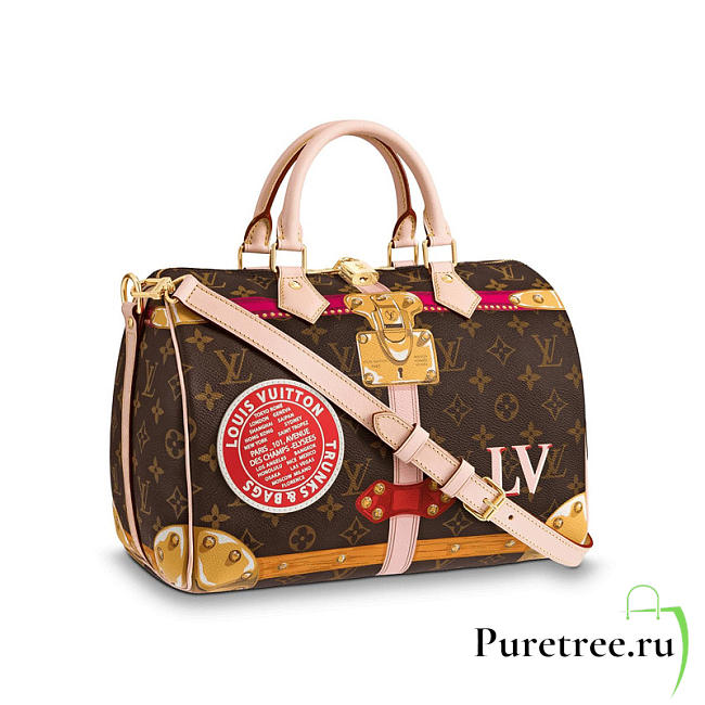 louis vuitton speedy CohotBag 30 monogram m41386 - 1