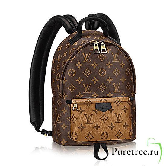 Louis Vuitton Palm Springs Backpack Monogram | M43116 - 1