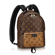 Louis Vuitton Palm Springs Backpack Monogram | M43116 - 1