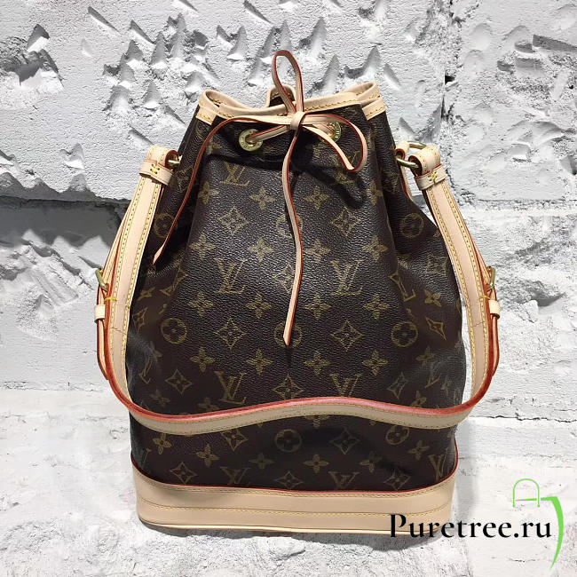 CohotBag louis vuitton bucket bag monogram 3764 - 1