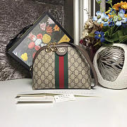 Gucci ophidia GG Small Shoulder Bag | 2628 - 1
