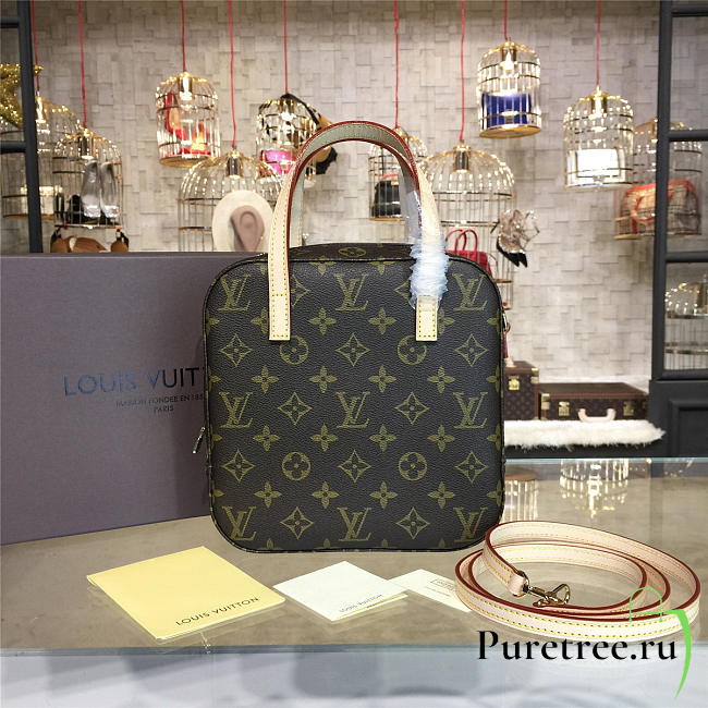    louis vuitton monogram CohotBag canvas nano - 1