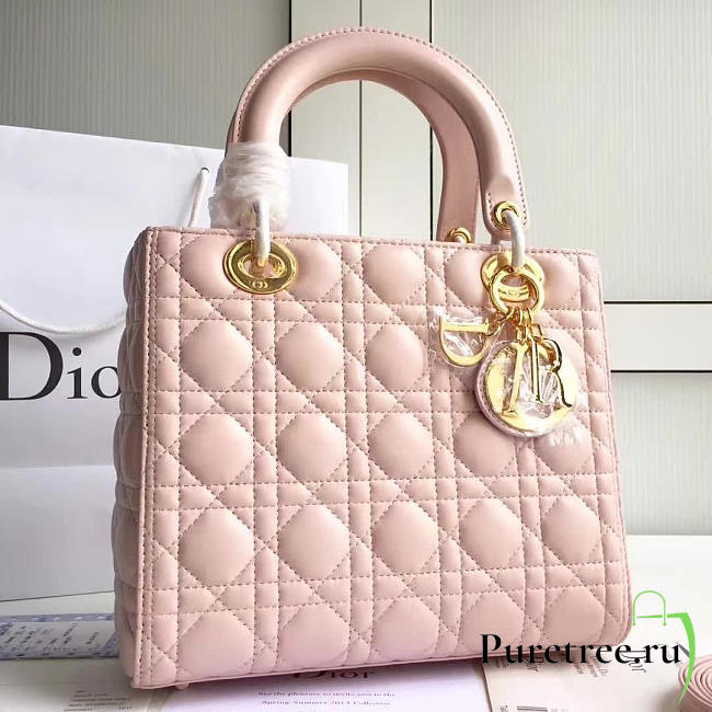 CohotBag lady dior 1570 - 1