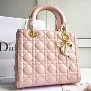 CohotBag lady dior 1570 - 1