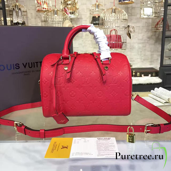 louis vuitton speedy CohotBag bandoulière 25 3207 - 1