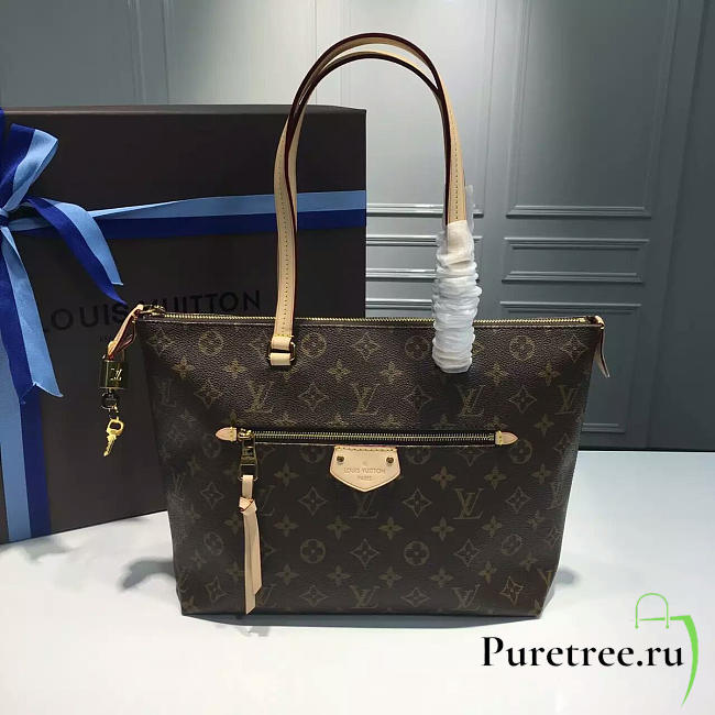 CohotBag louis vuitton iena pm monogram canvas - 1