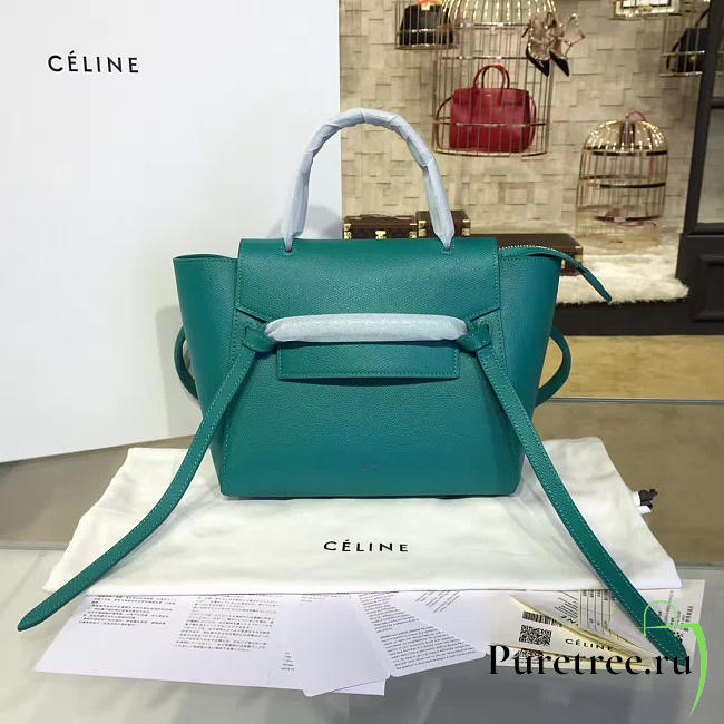 Celine leather belt bag z1189 - 1