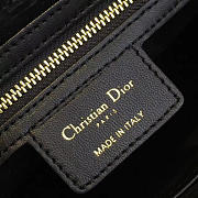 CohotBag dior fence 1762 - 3