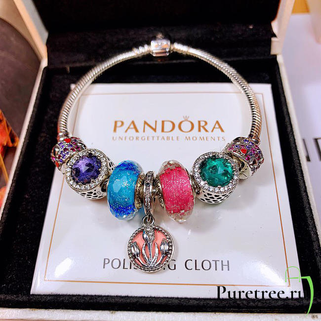 Pandora bracelet 201 - 1