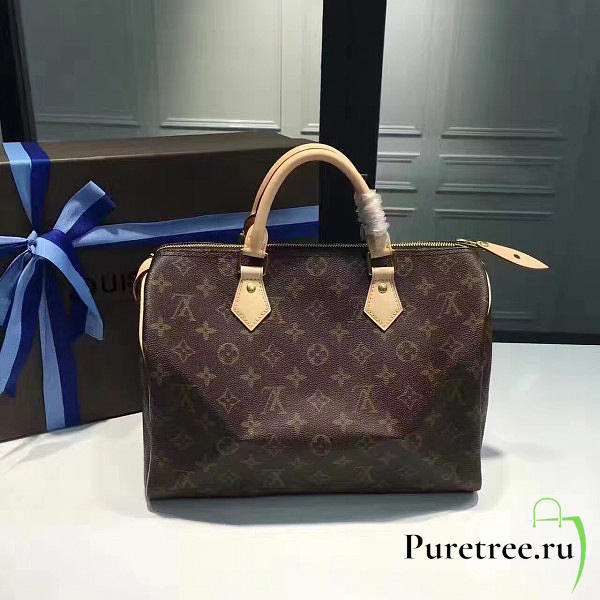 louis vuitton speedy CohotBag 30 monogram canvas 3104 - 1