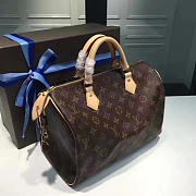 louis vuitton speedy CohotBag 30 monogram canvas 3104 - 6