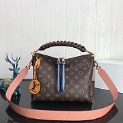 Louis Vuitton Bag  - 4