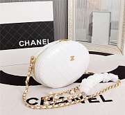 Chanel whole cowhide white - 5