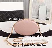 Chanel whole cowhide pink - 5