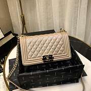 Chanel leboy 2019 pearlescent chain shoulderbag 67086 - 1