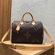 Louis Vuitton speedy 30 | M44602 - 1