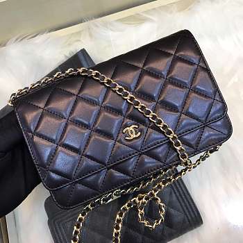 Chanel woc chain package