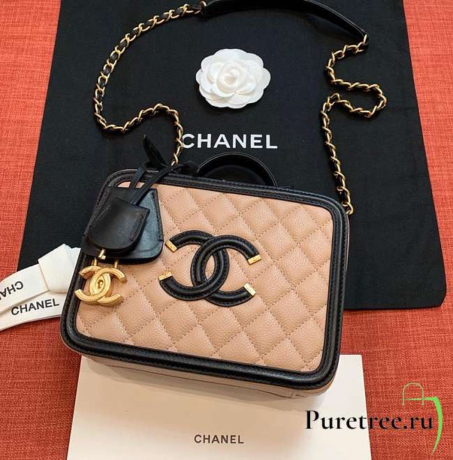 Chanel chain camera bag 21cm-17cm - 1