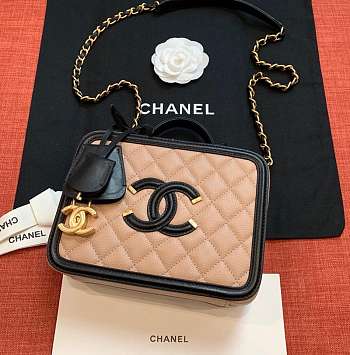 Chanel chain camera bag 21cm-17cm