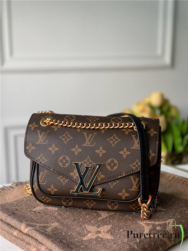 Louis Vuitton Neo Monceau Bag - 1
