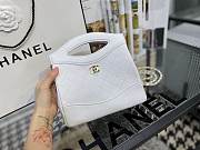 Chanel Mini Bag White| A9196  - 1