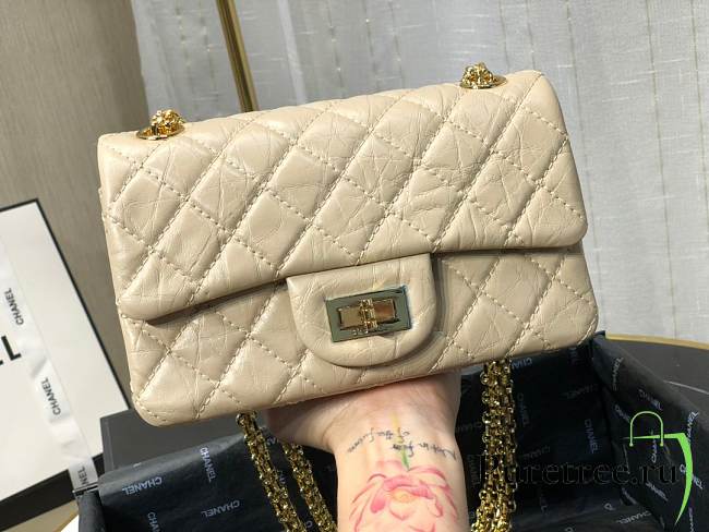 Chanel Mini 2.55 Handbag Beige | AS0874 - 1
