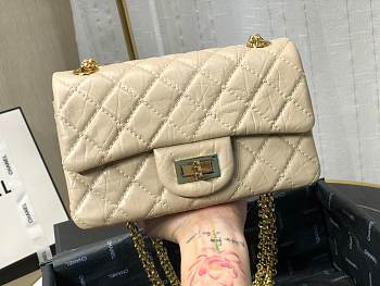 Chanel Mini 2.55 Handbag Beige | AS0874