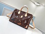 LV Speedy Bandouliere Catogram 30 | M44401 - 4