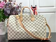 LV Speedy Bandouliere 25 | M42400 - 1