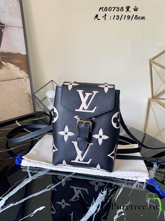 LV Mini Black Backpack | M80738 - 1