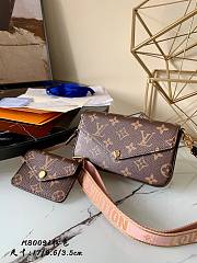 Louis Vuitton Félicie strap & go (M80091)