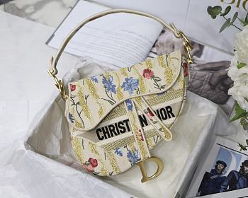 Dior Saddle Oblique Bag 01 | M9001