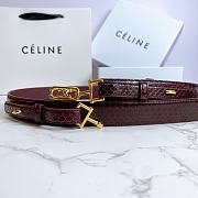 Celine belt 03 - 4