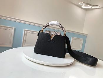 Louis Vuitton Capucines BB Bag Python Skin | N95509