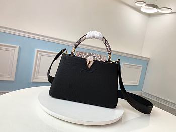 Louis Vuitton Capucines BB Bag Python Skin 36cm | N95509